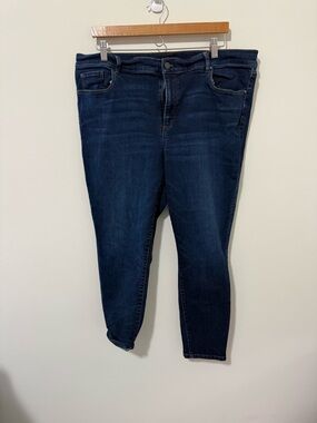 Ann Taylor Navy Skinny Jeans